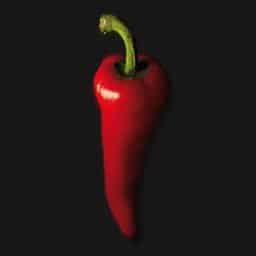 Red Sakay