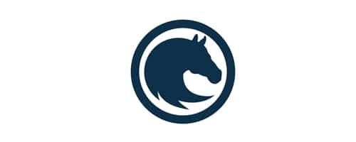 Workhorse Marketing