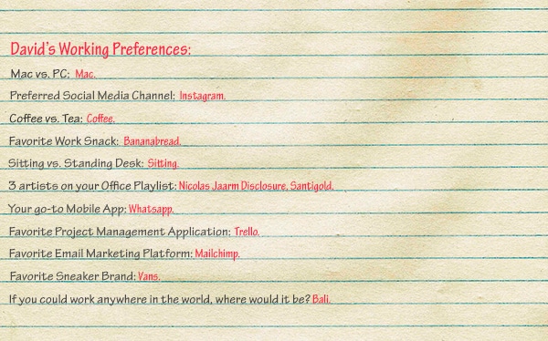 Working-Preferences-David-Robustelli