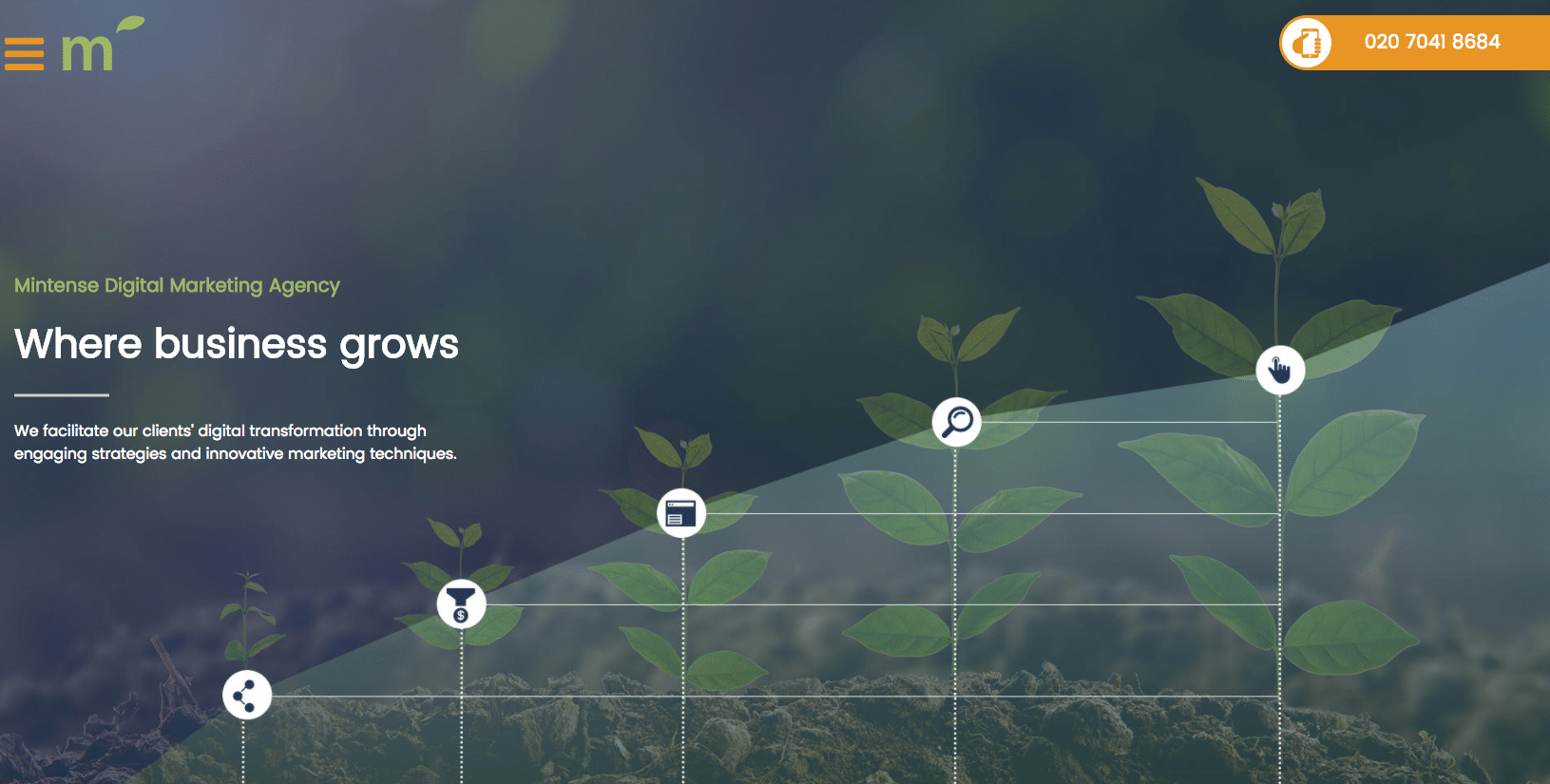 Mintense UK - London - Agency - Digital