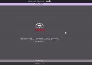 saatchiduke