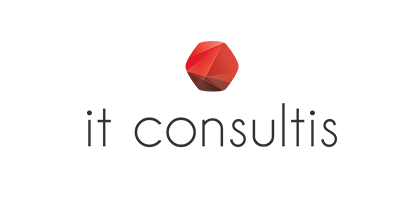 it-consultis-agency-digital-shangai