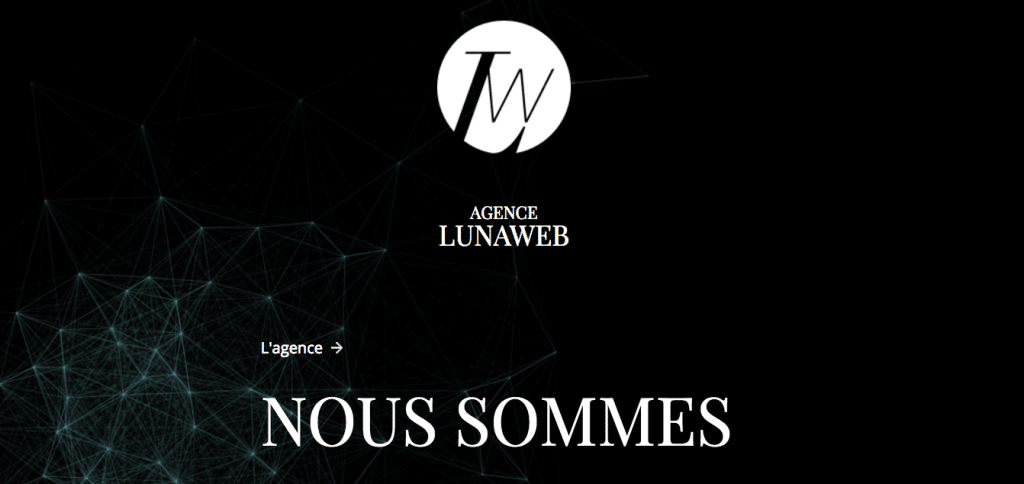 LunaWeb - Digital - agency - Paris