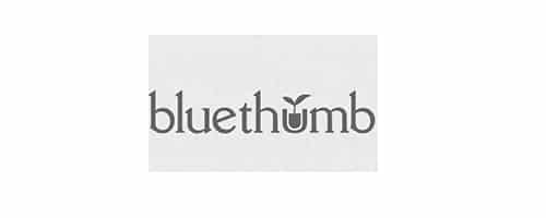 Bluethumb Creatives