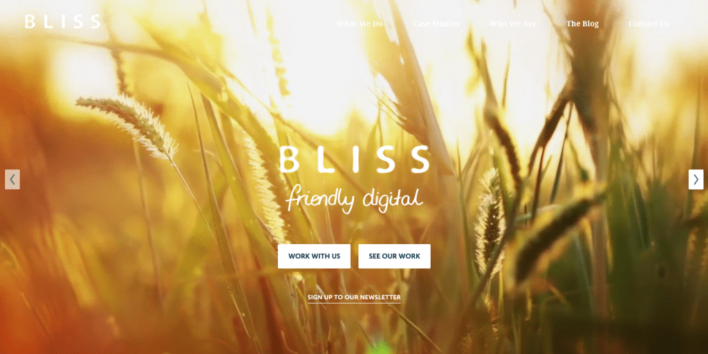 Bliss-United Kingdom-Digital-Agencies