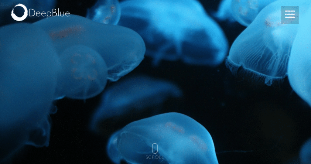 Deep Blue - Atlanta- Digital - Agency