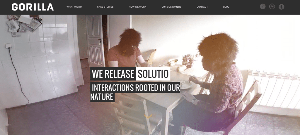 Gorilla - Digital agency - poland 