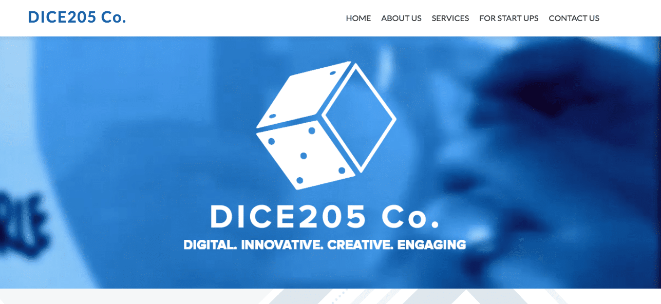 DICE205 Co-Digital Agency