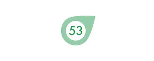 Degree 53