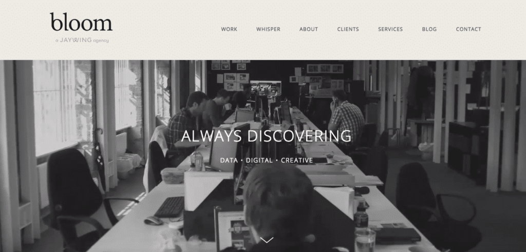 Bloom - Leeds - Agency - Digital