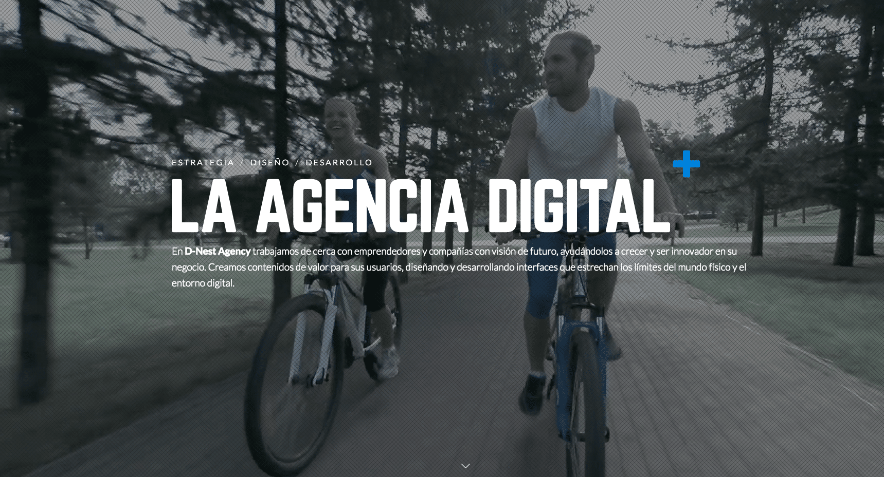 DNest Agency - Madrid - Digital - Agency