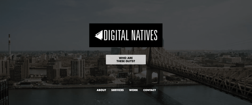 Digital Natives Group - New York - Digital - Agencies