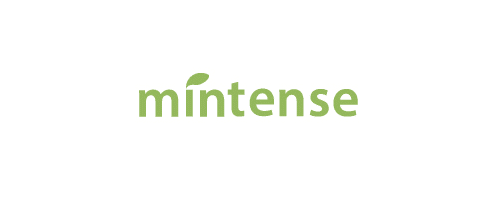 Mintense Srl