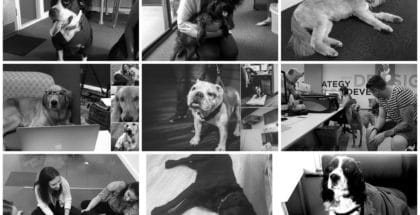 Bring your dog to work day TIA
