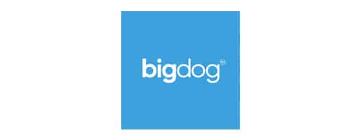 bigdog